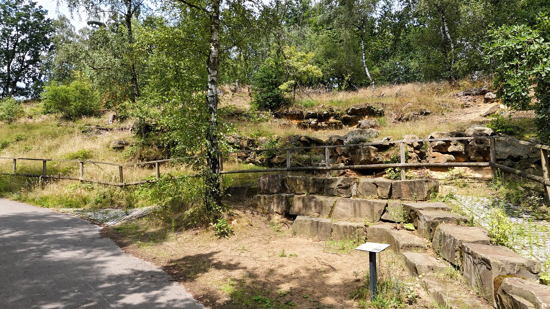 rundlich rot-gelb-graue Gesteine im Wald