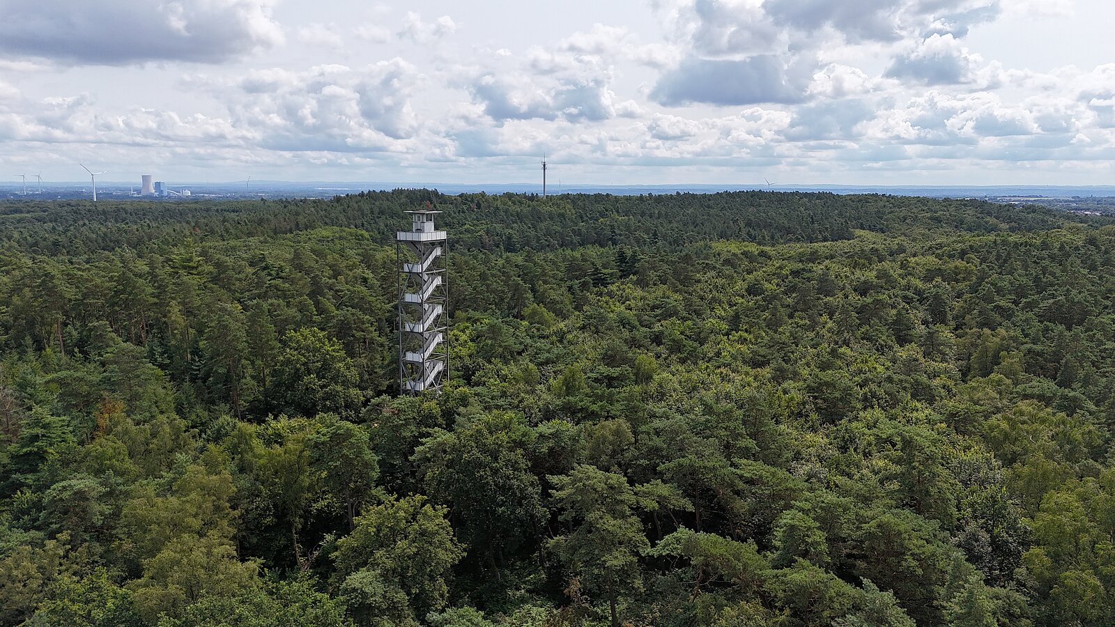 Blick über weitläufige Waldlandschaft mit Turm