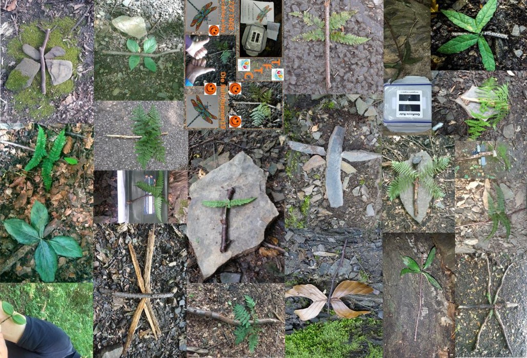 Collage aus Bildern von Libellen aus Naturmaterialien