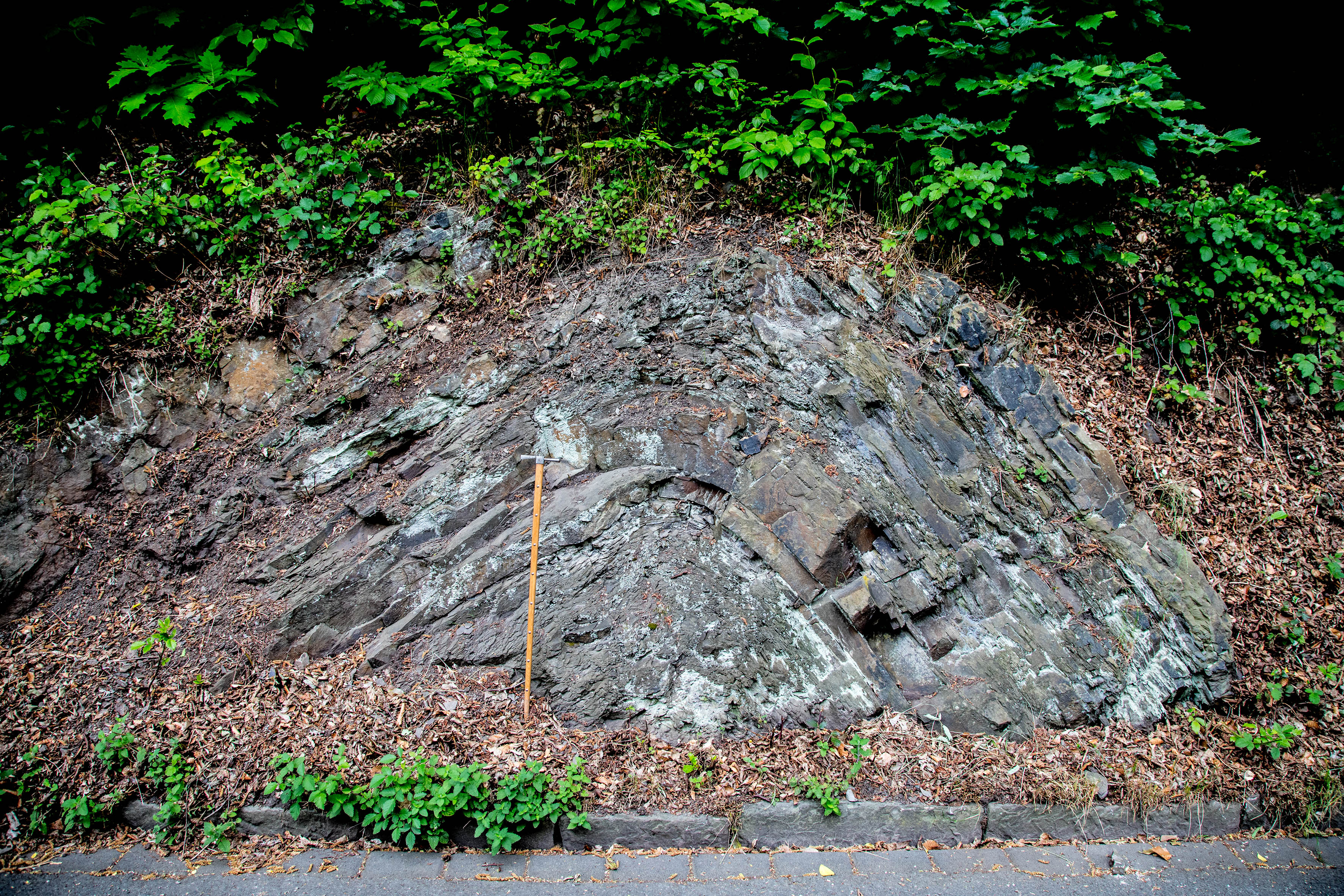 Nach oben gebogene Falte im Gestein