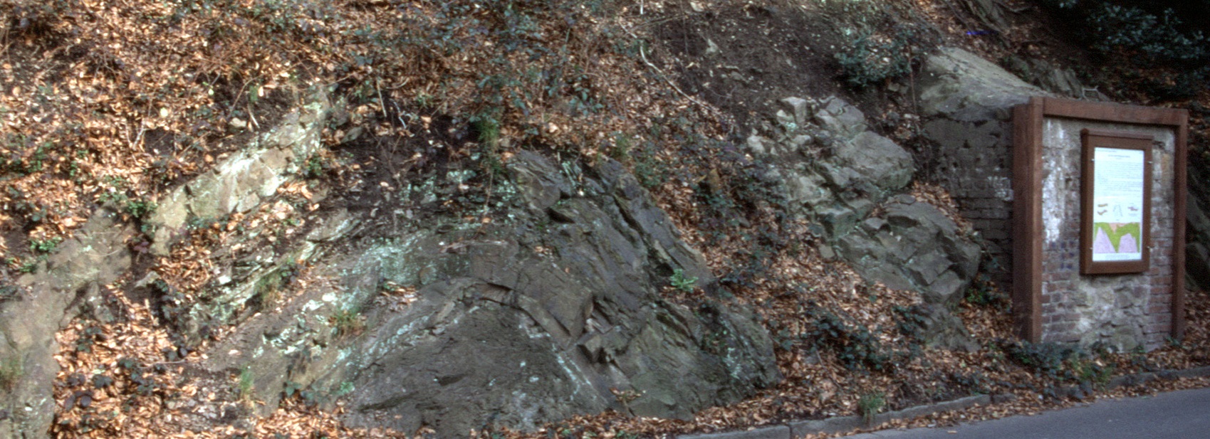 Felswand mit Infotafel