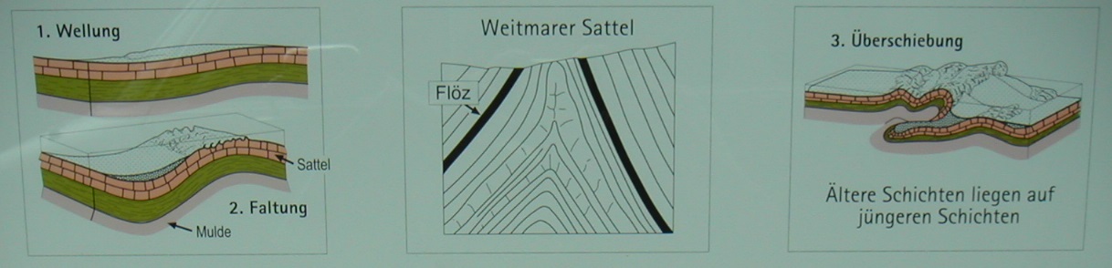 Zeichung zu Faltenbildung