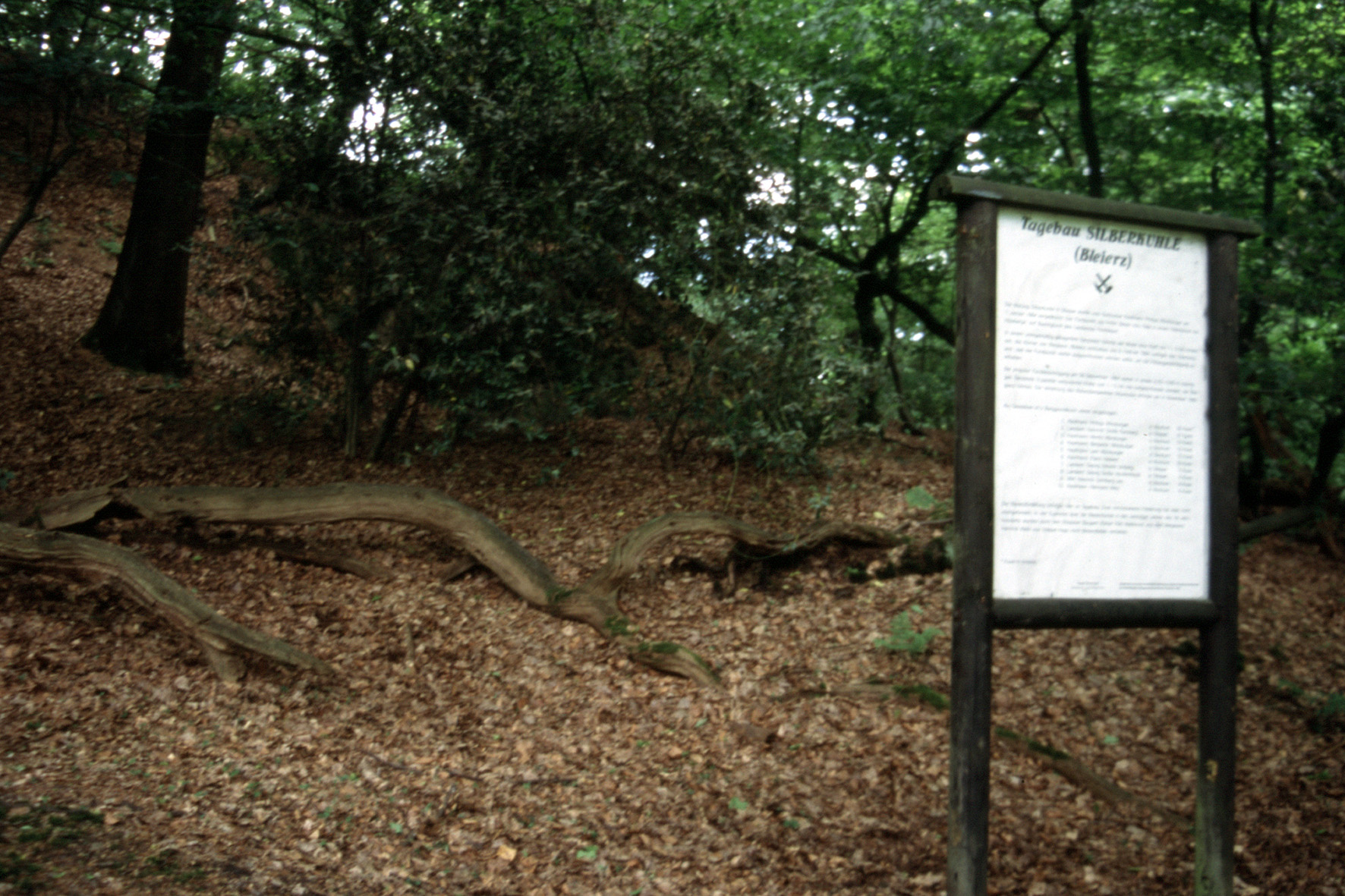 Infotafel in Wald