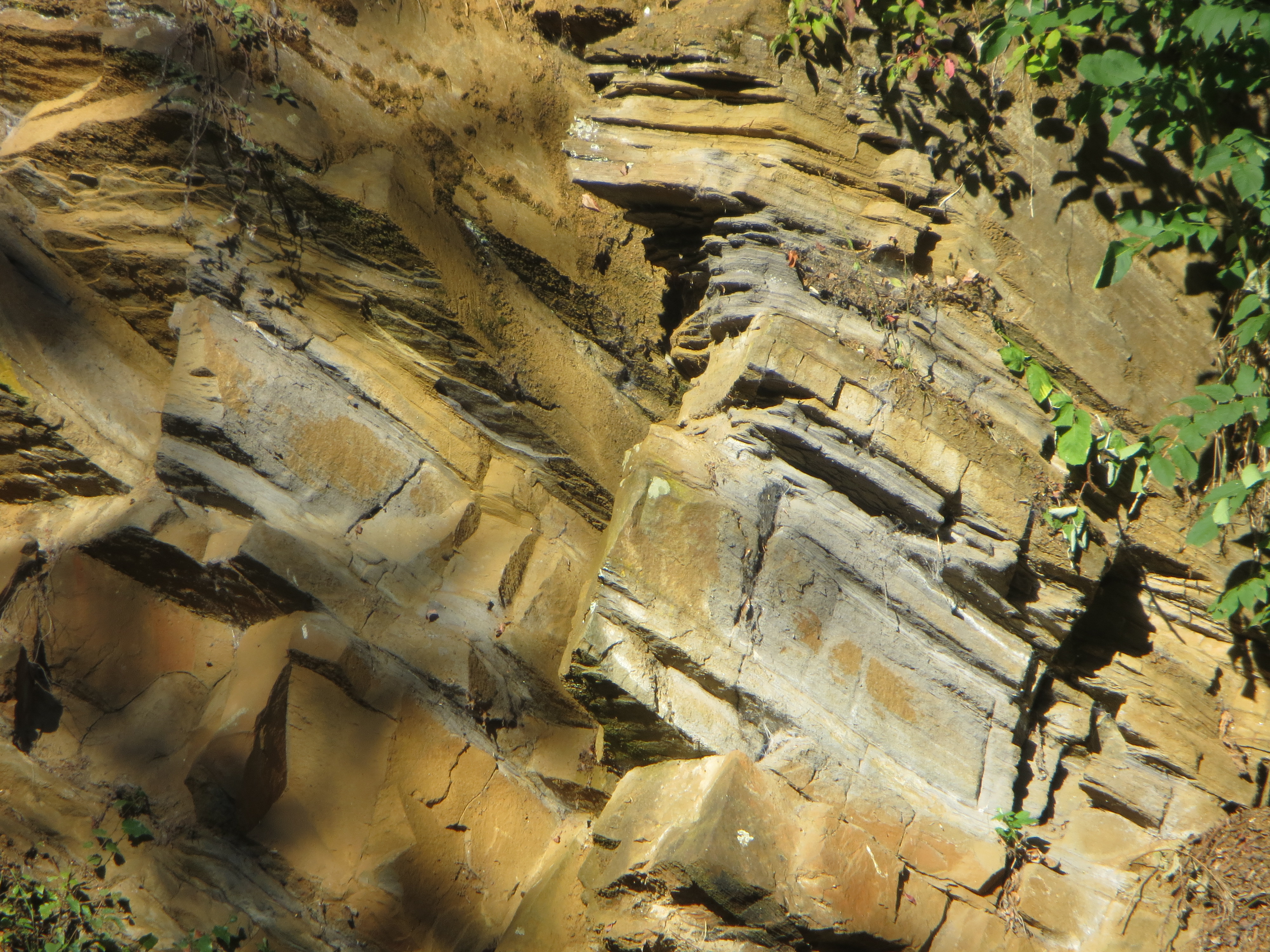 Felswand mit sichbarer Schichtung des Sandsteins.