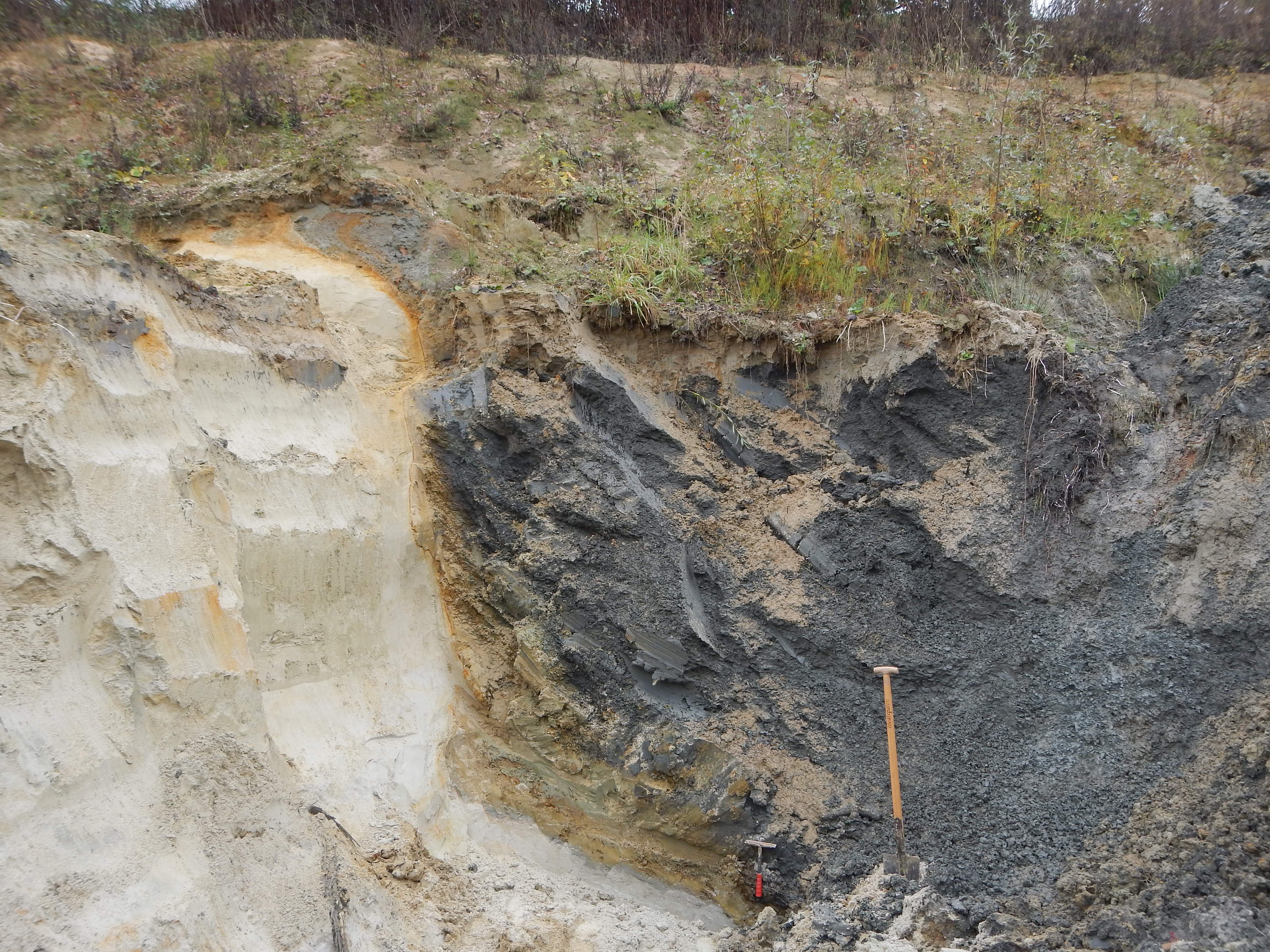 Heller Sand und dunkelgrauer Ton nebeneinander im Bodenaufschluss.