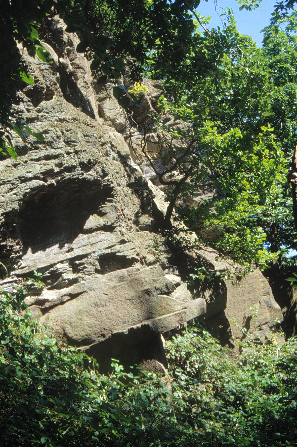 Sandsteinwand