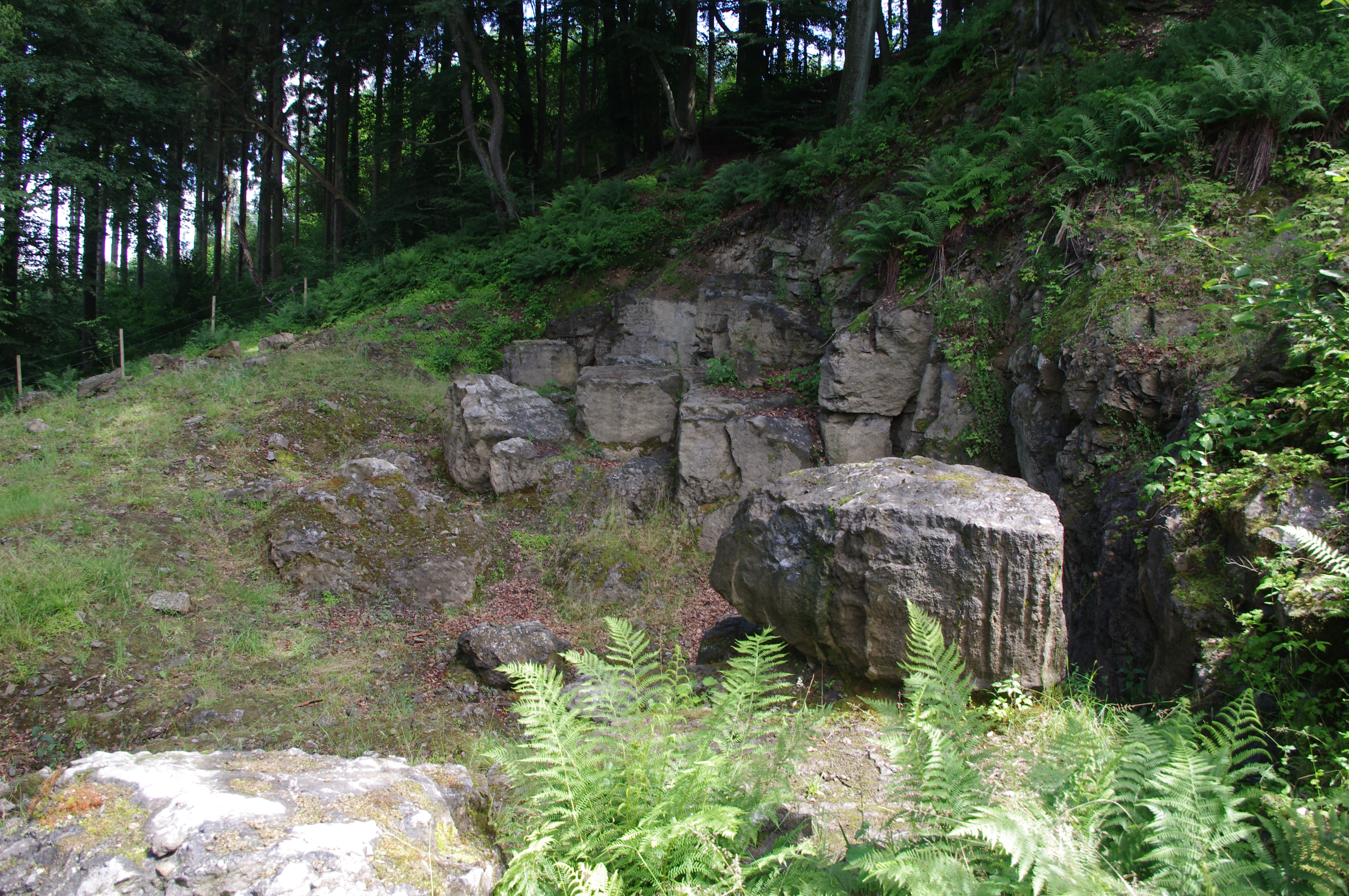 Felsblock vor Felswand