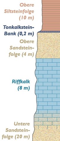 Gezeichnetes Schema mit vertikaler Schichtenfolge