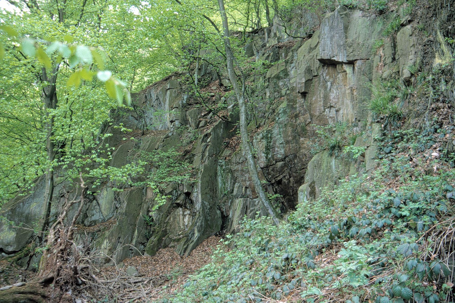 Steinbruch