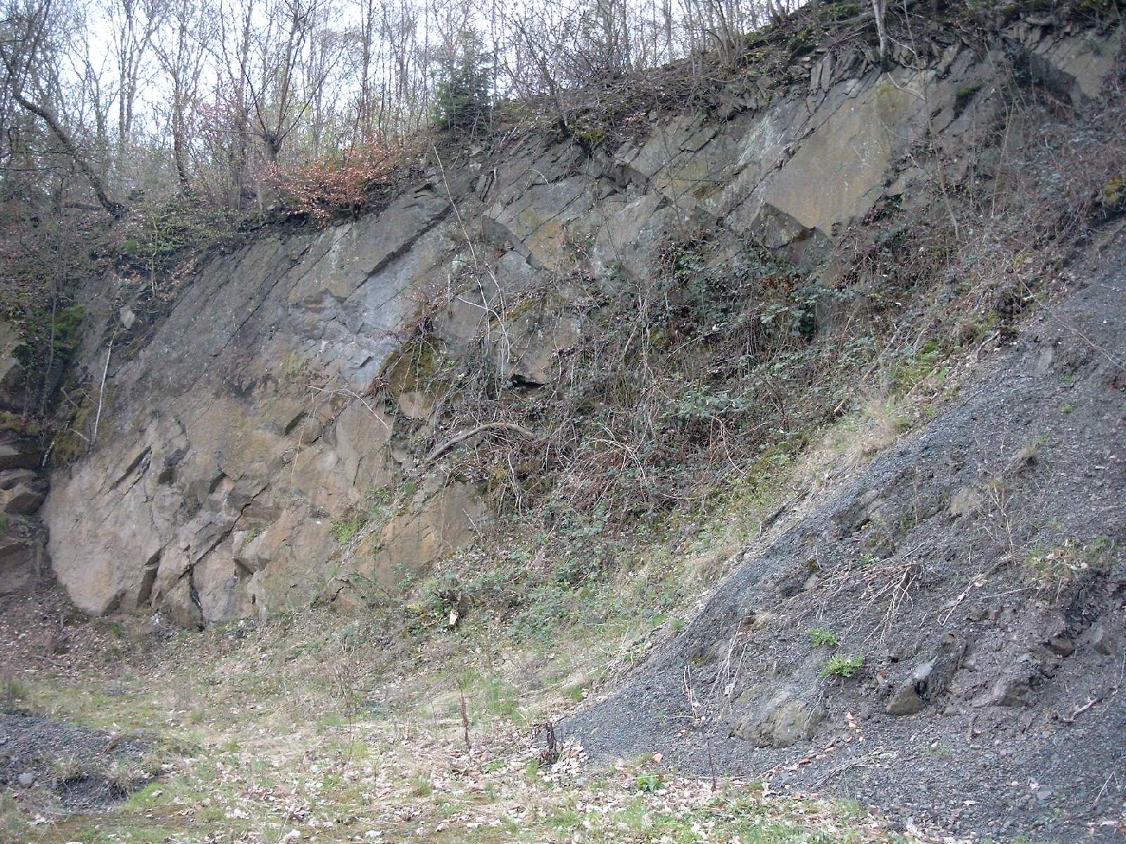 Felswand in Steinbrch