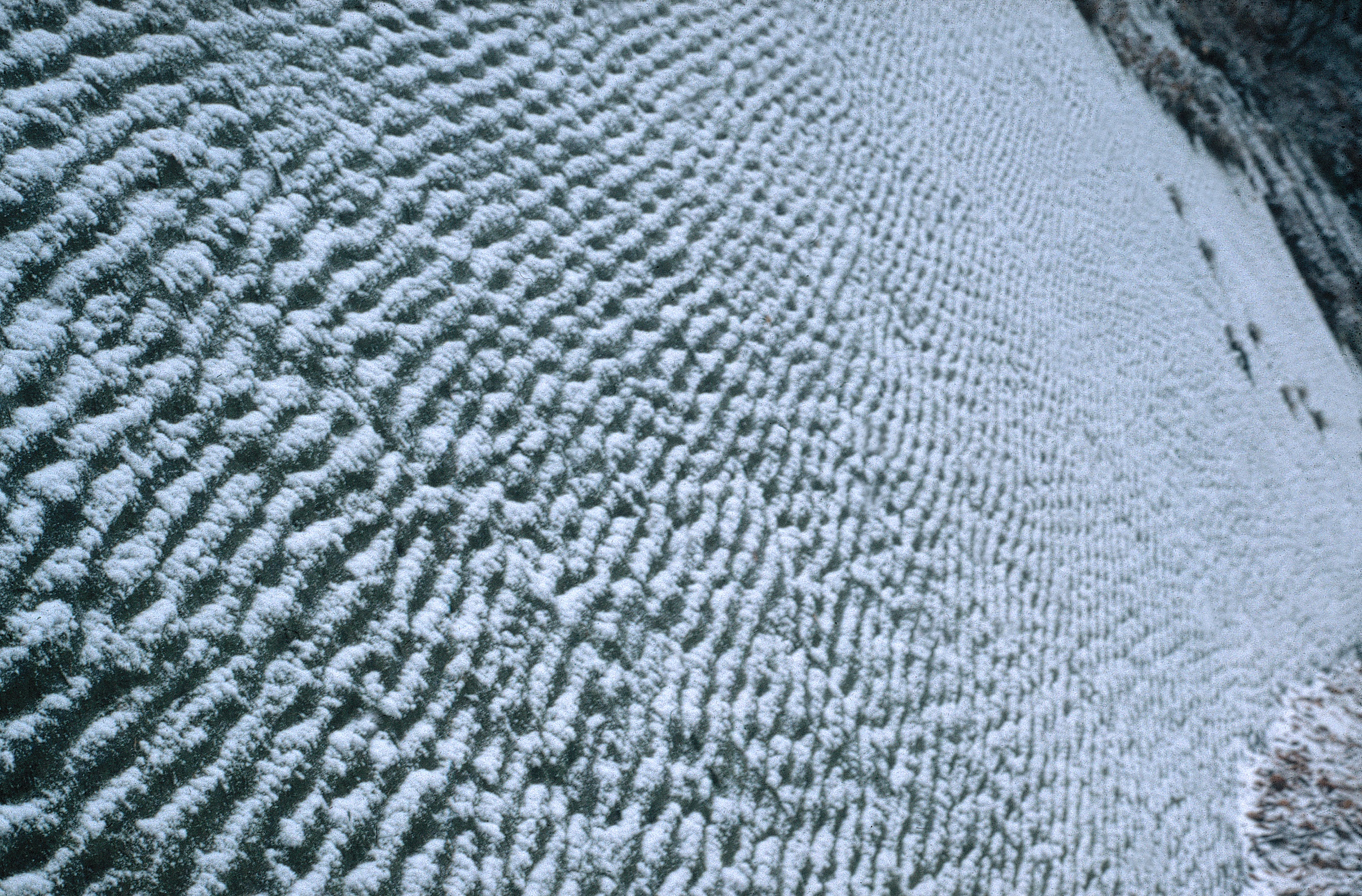 Schneebedeckte Felswand mit Wellenrippeln.