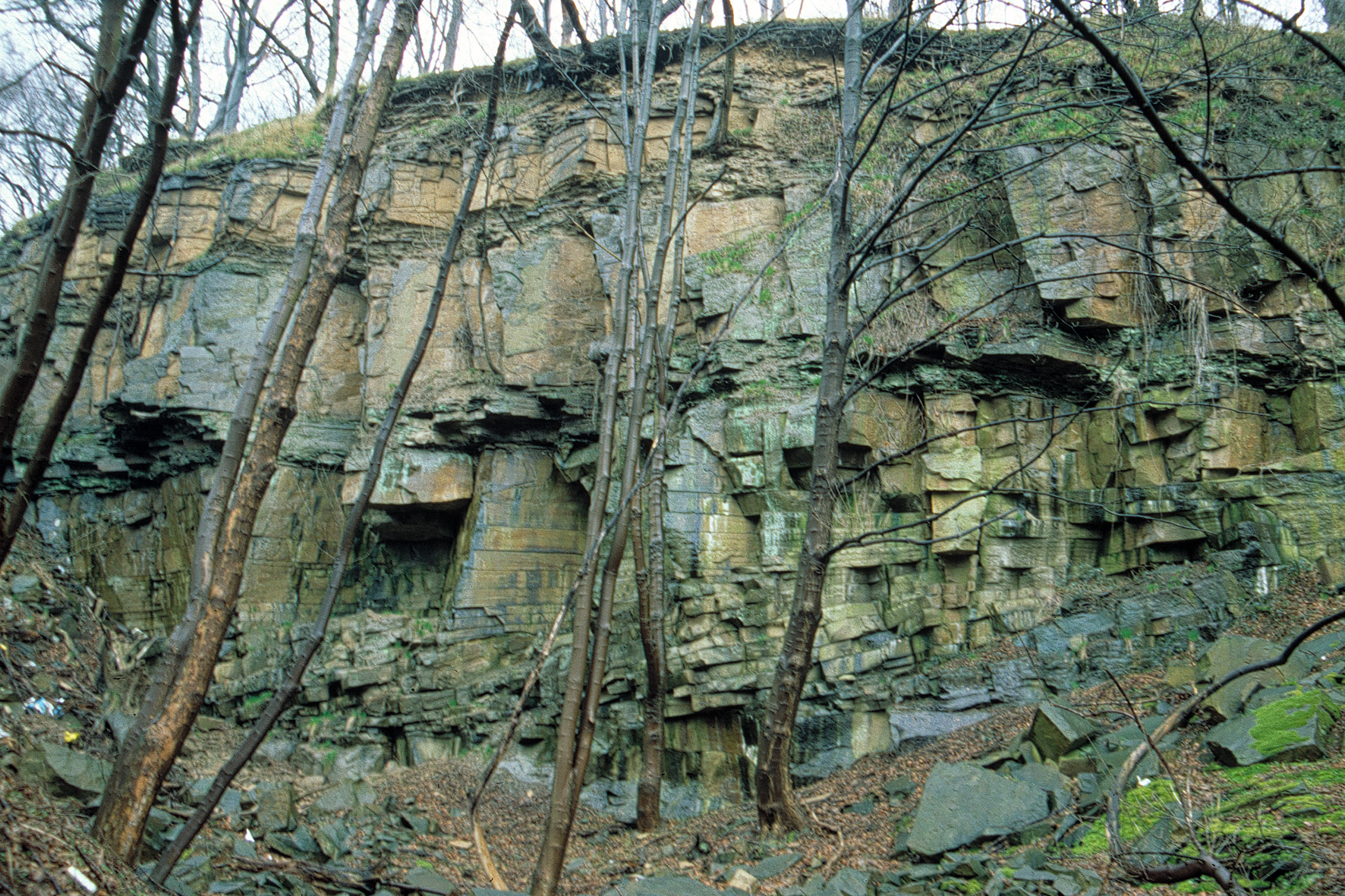 Felswand aus Sandsteinen