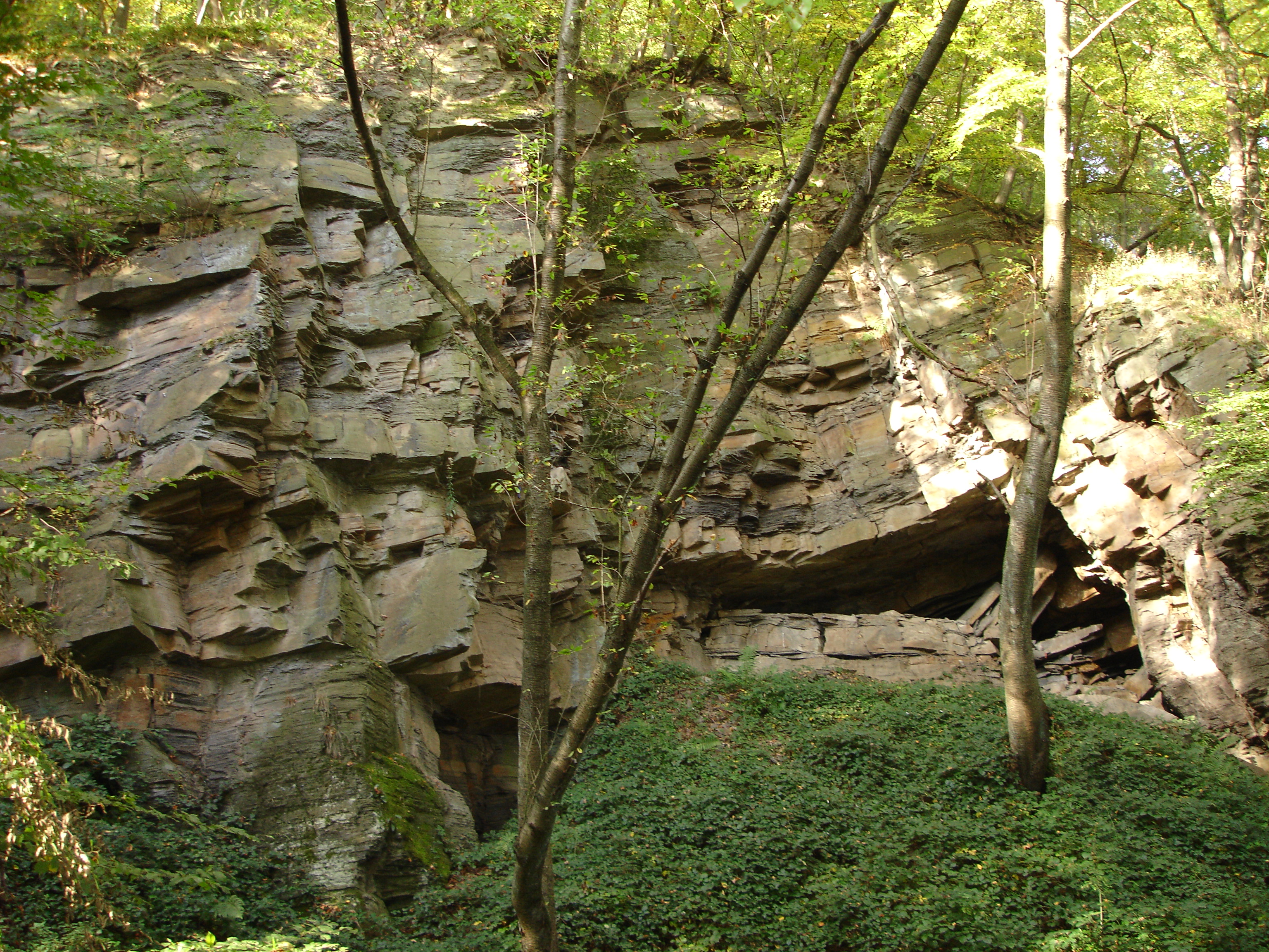 Felswand im Wald