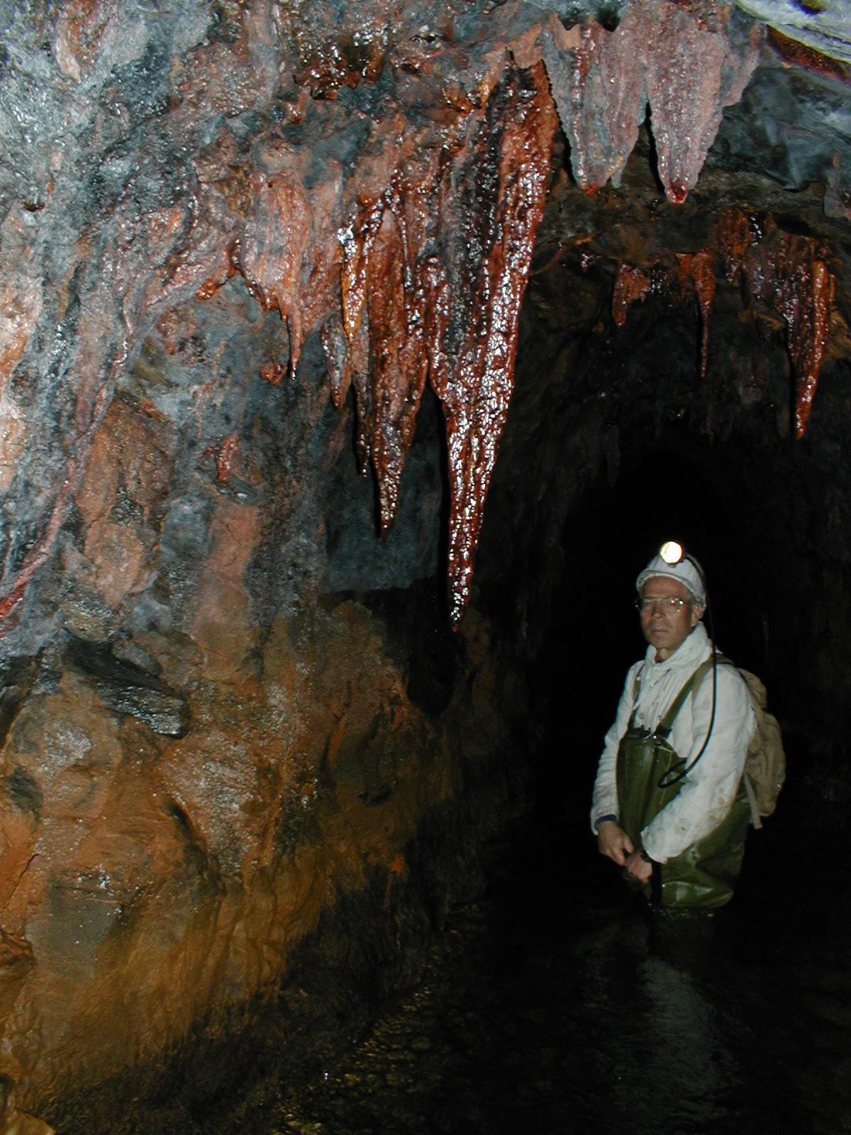 Rötliche Tropfsteine im Stollen und Mann, der im Wasser steht.
