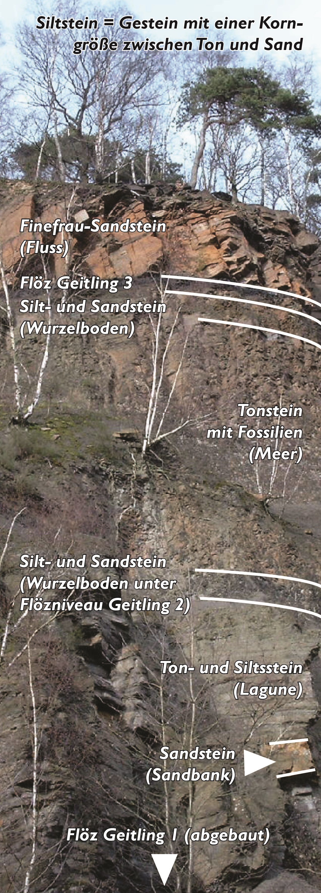 Foto der Schichten im Steinbruch mit Beschriftung