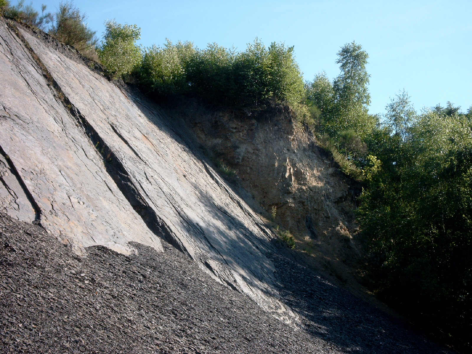Steile graue Felswand mit Schutt im unteren Bereich. 