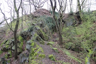 Felsen im Wald