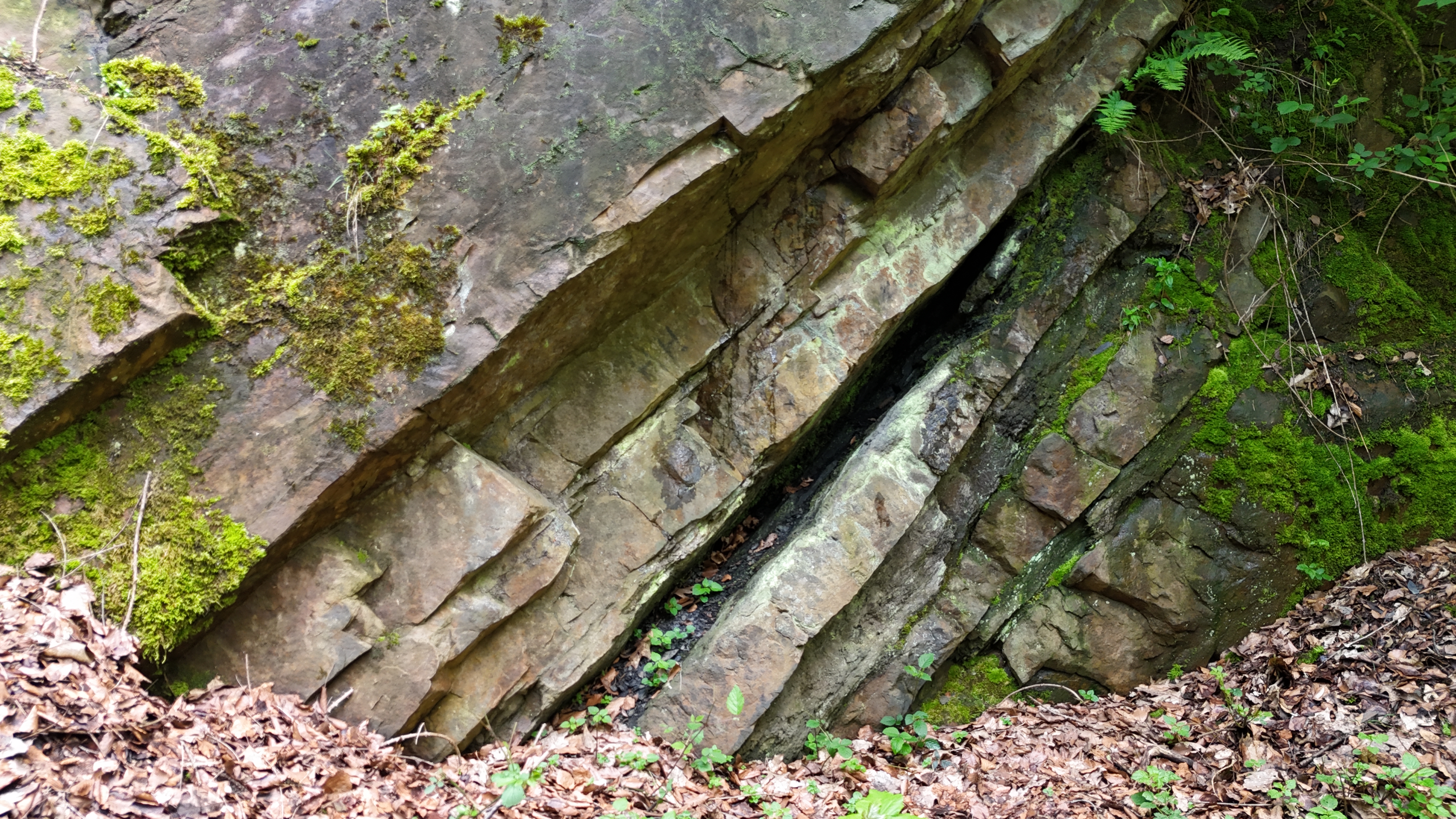 Schmalse Flöz in Sandsteinwand