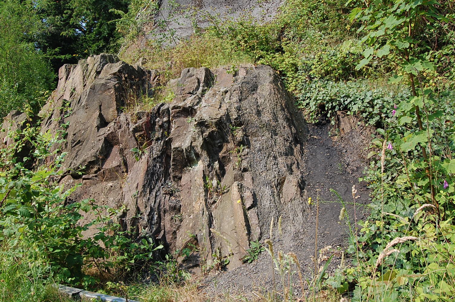 Felsen mit Flöz