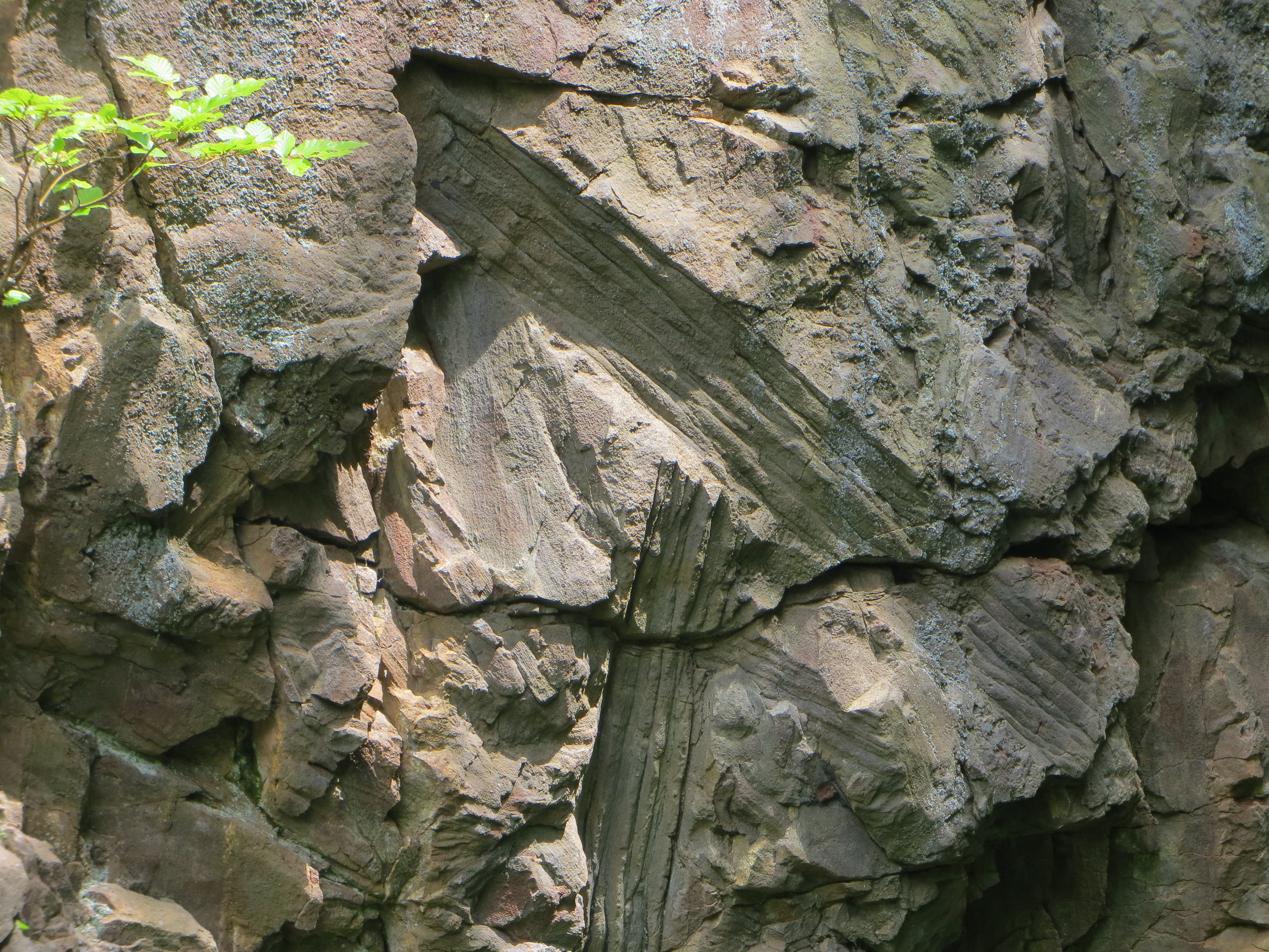 längliche Abdrücke mit Längsstreifen in Felswand. 