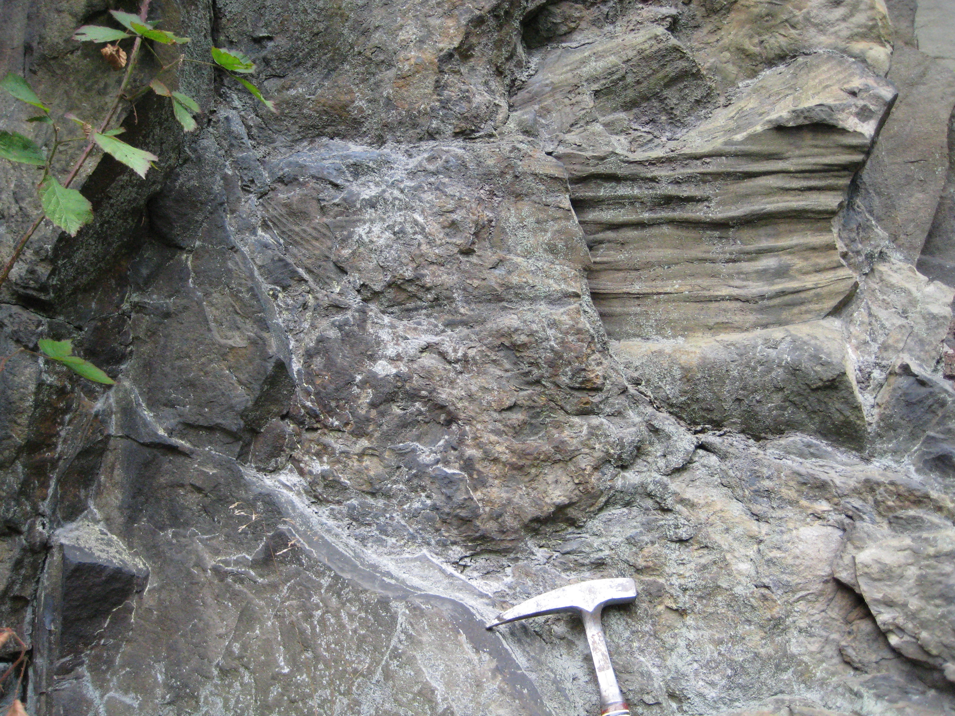 Abdrücke im Gestein