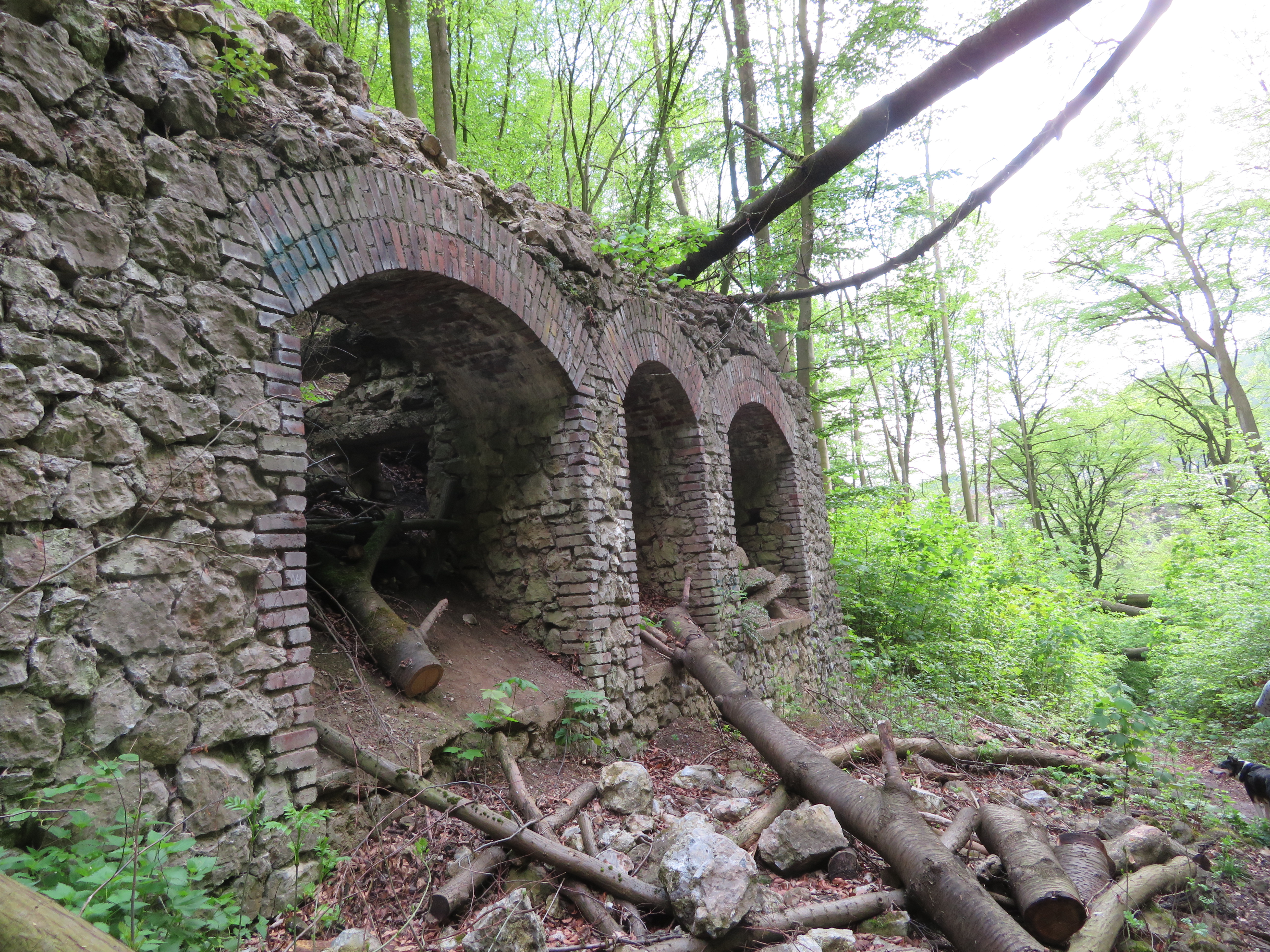 Ruine im Wald