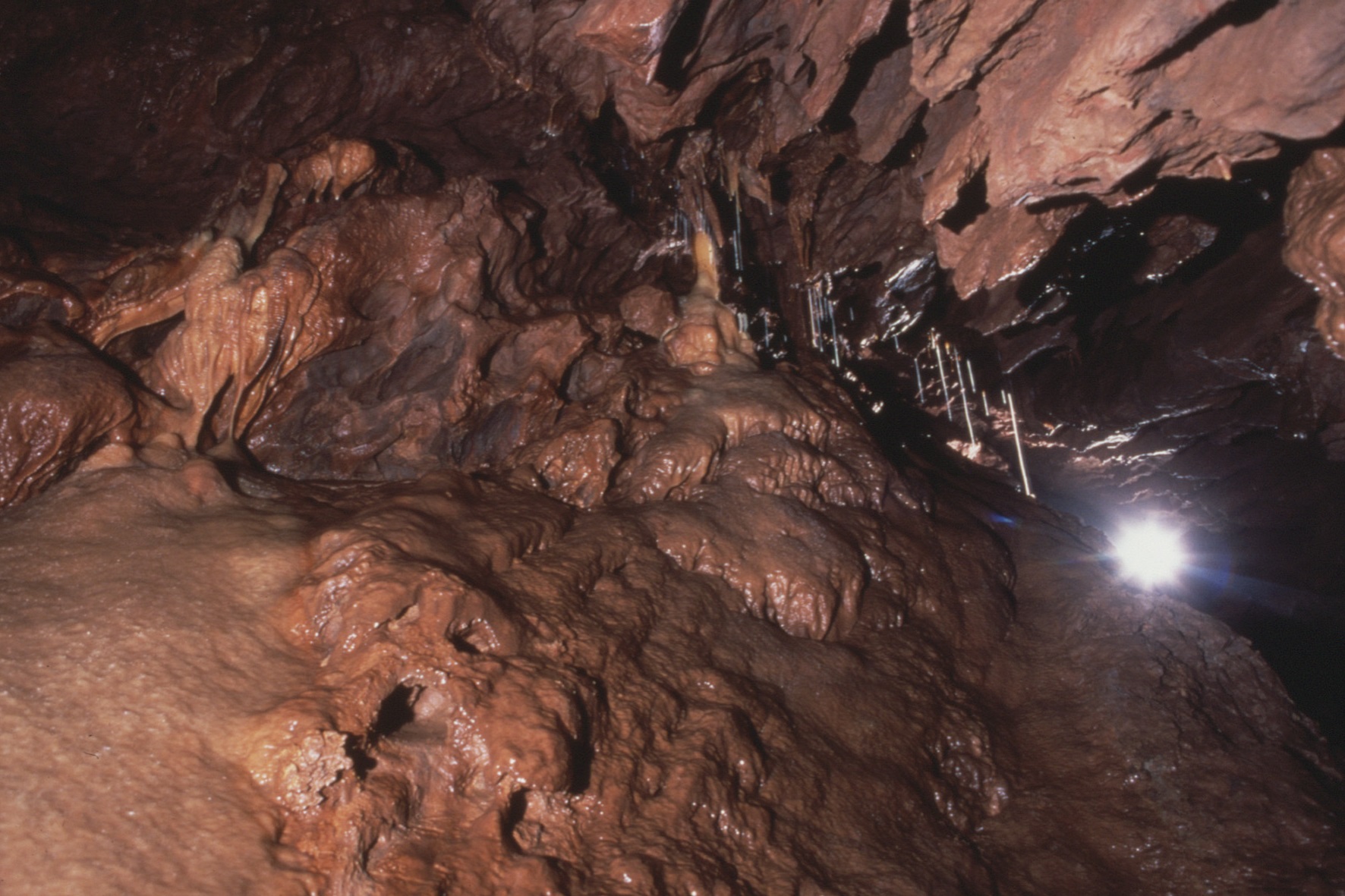 Bräunliches versintertes Gestein in Höhle