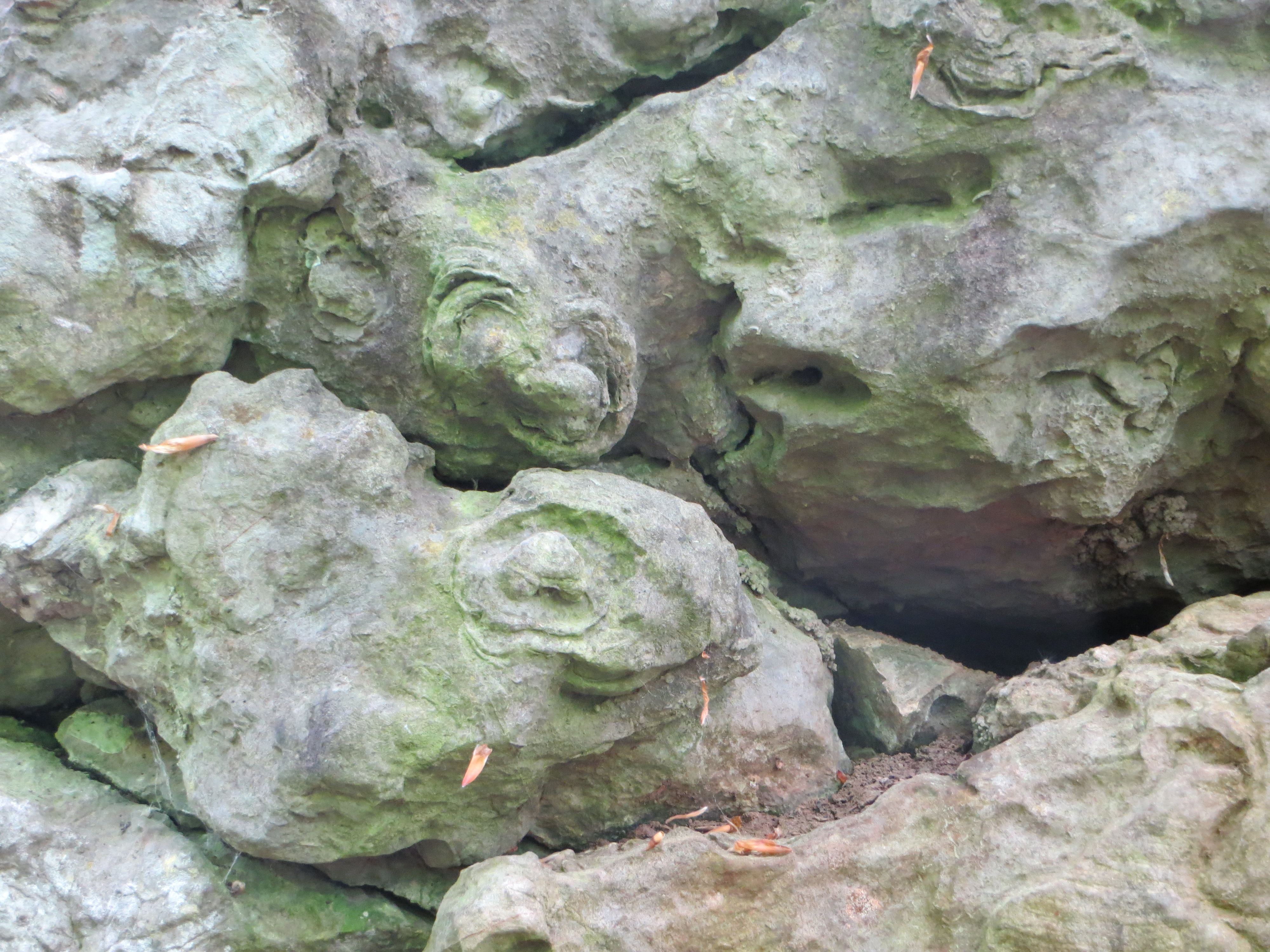 rundliche Strukturen in den Felsen