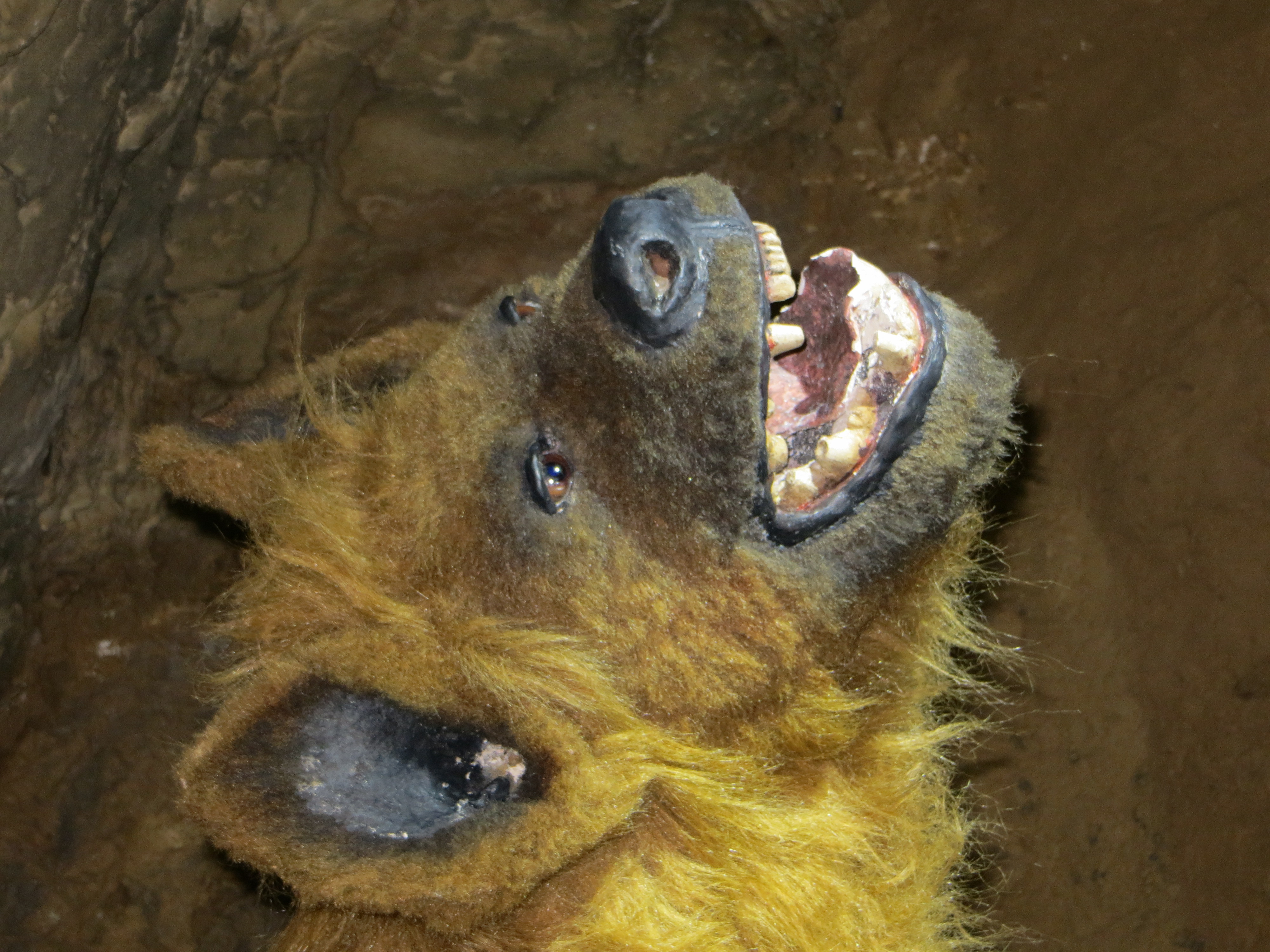 Porträt einer Hyäne mit offenem Maul (Tiermodell)
