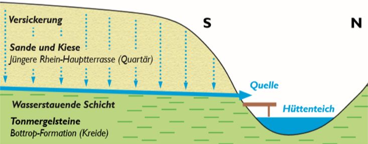 Zeichung mit geologiachen Schichten im Elpenbachtal