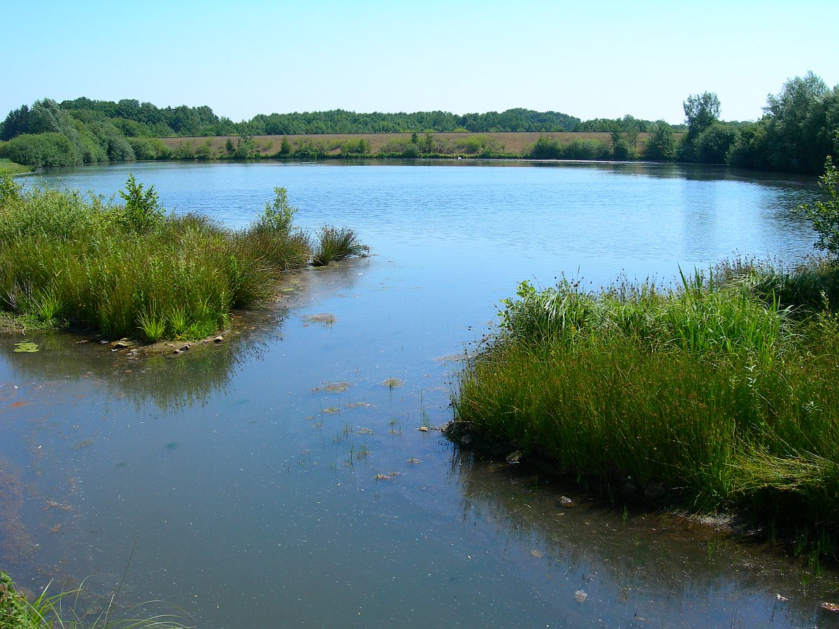 Blick auf See