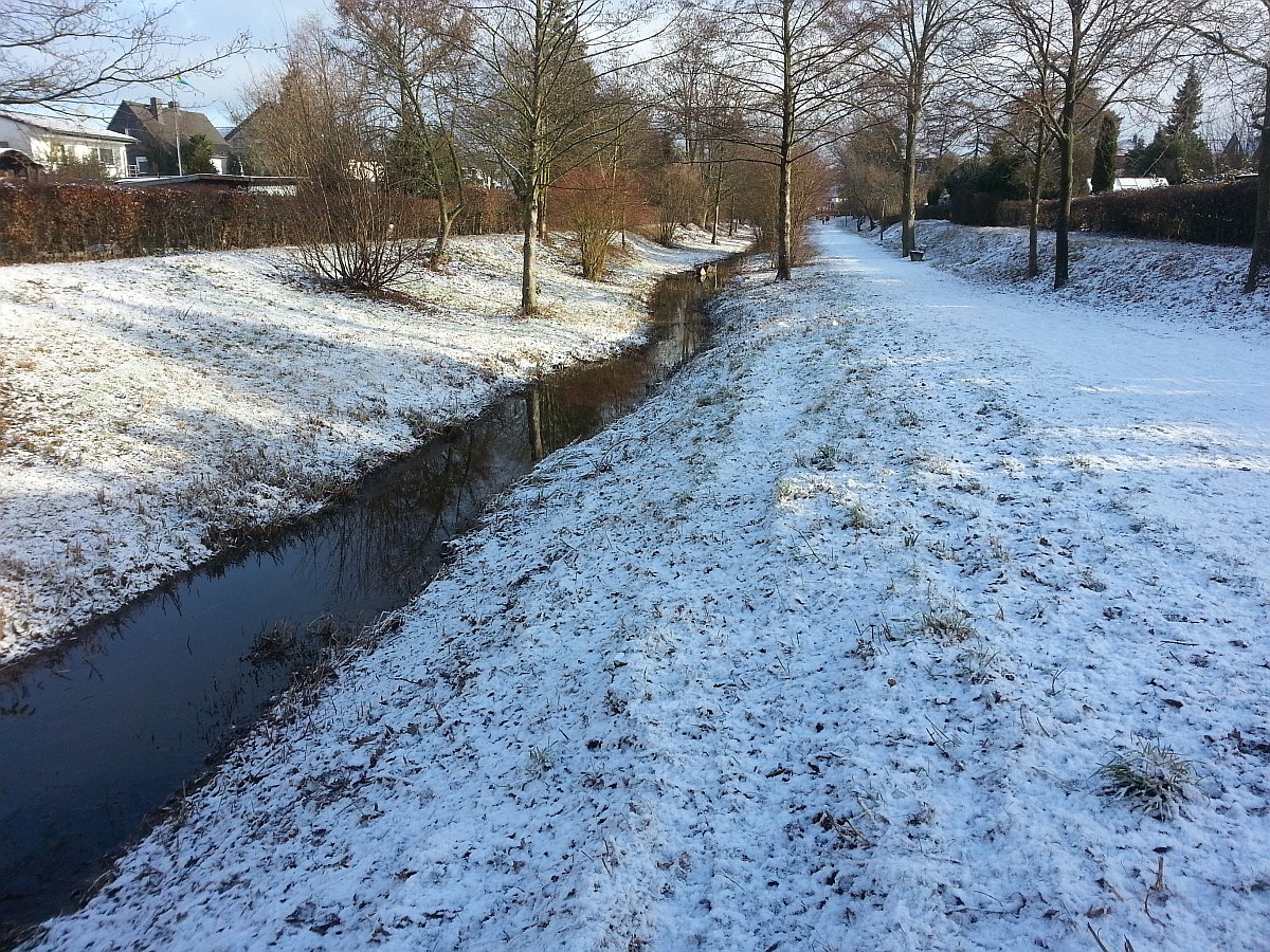 Bach in Winterlandschaft