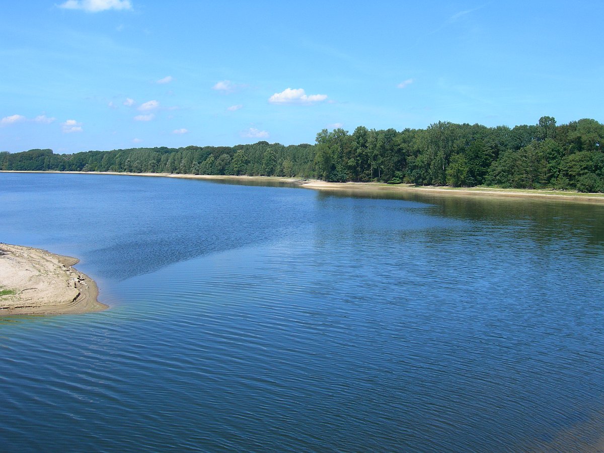 See mit sandigen und bewaldeten Ufern