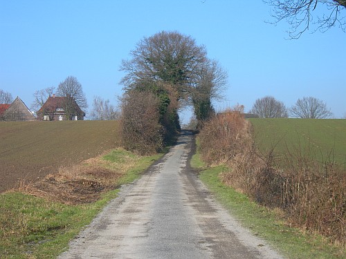 Eingetiefter Weg zwischen Äckern
