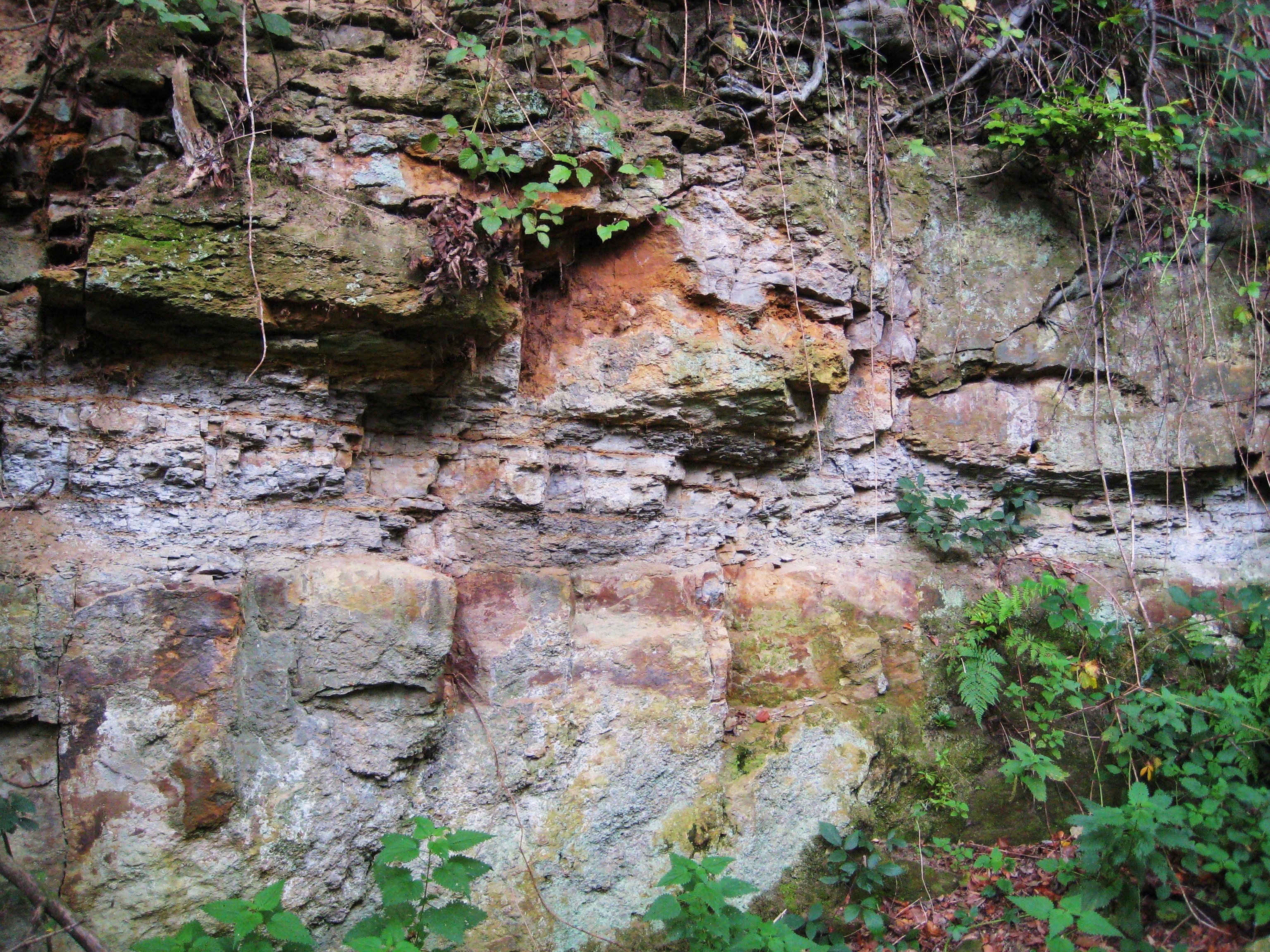 rötliche wechselnde Gesteinsschichten im Steinbruch