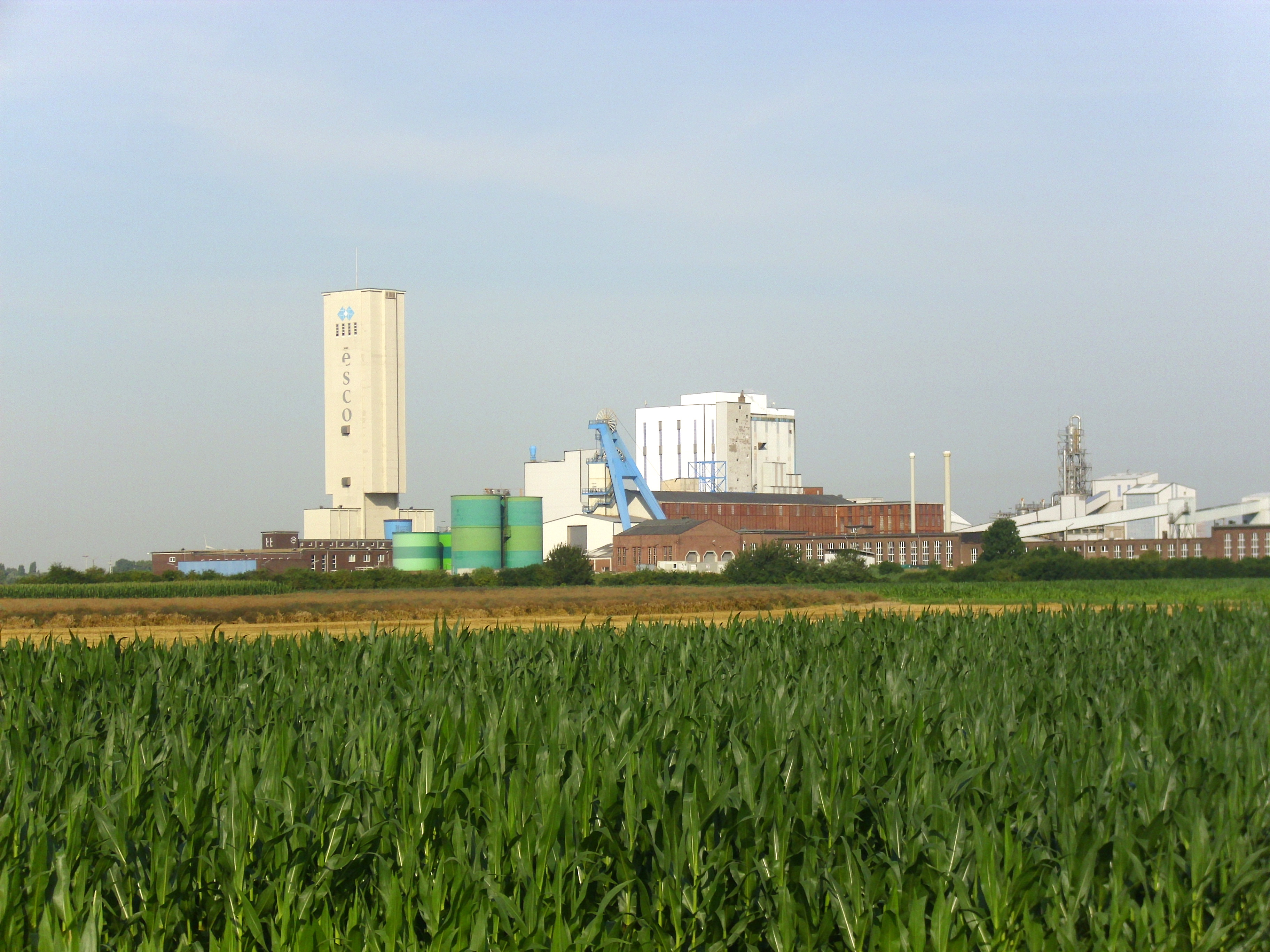 Industriegebäude mit Fördertum hinter Maisfeld