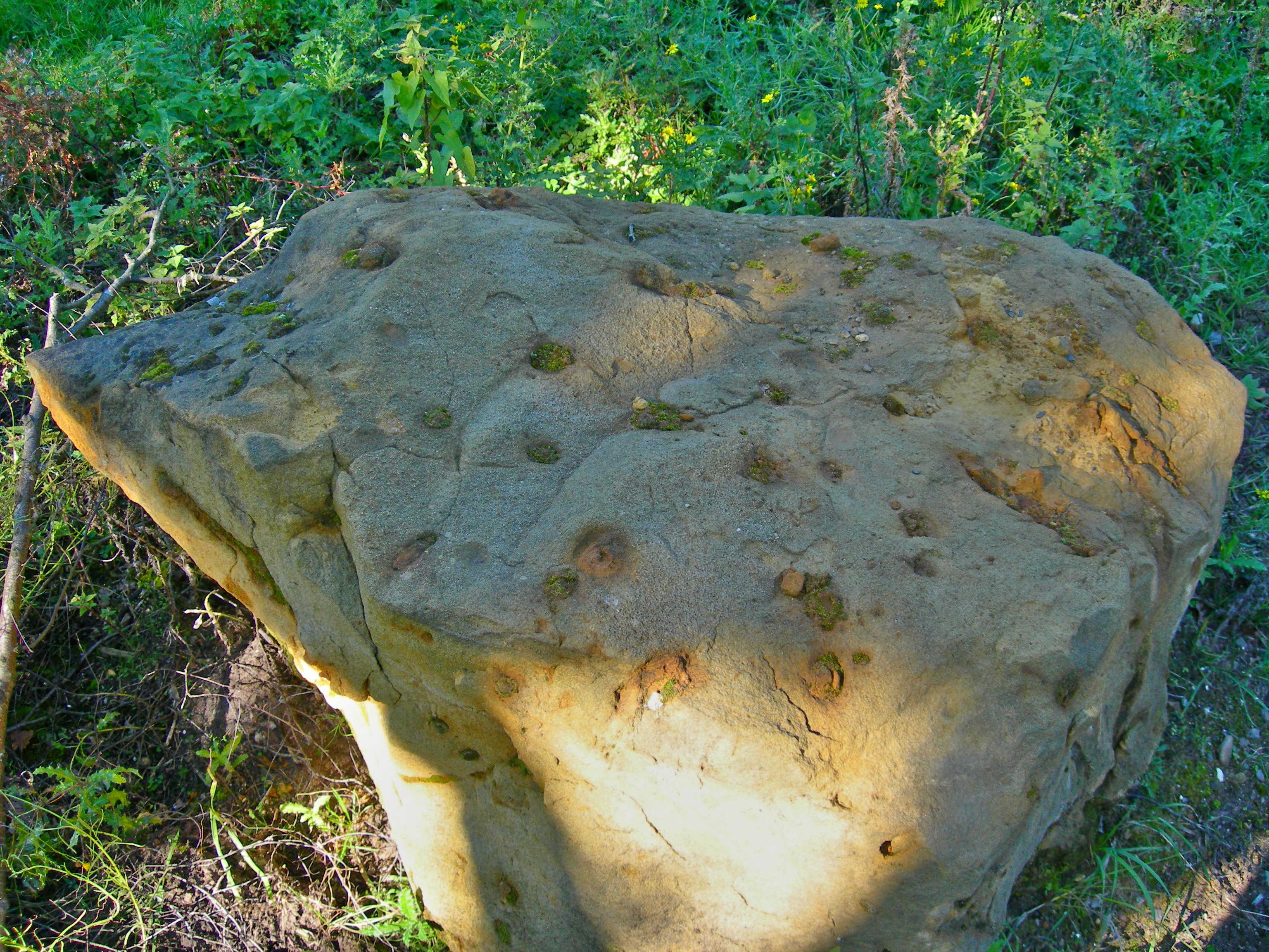 Sandstein mit Löchern