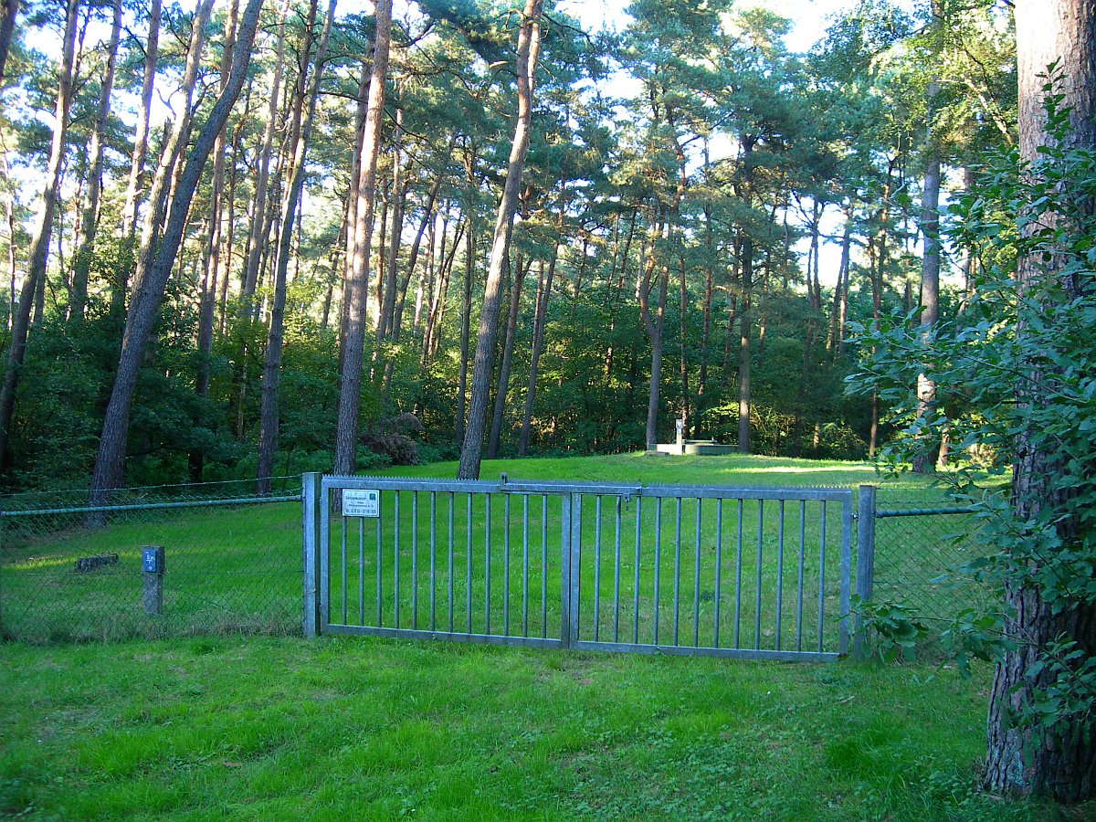 Gatter vor Rasen im Wald