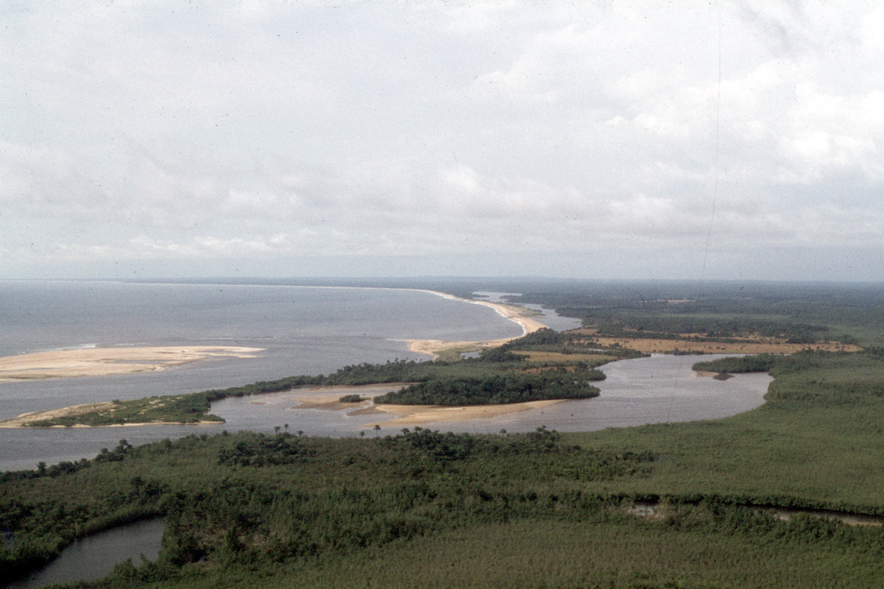 Luftbild von Landschaft mit Meer und Wald