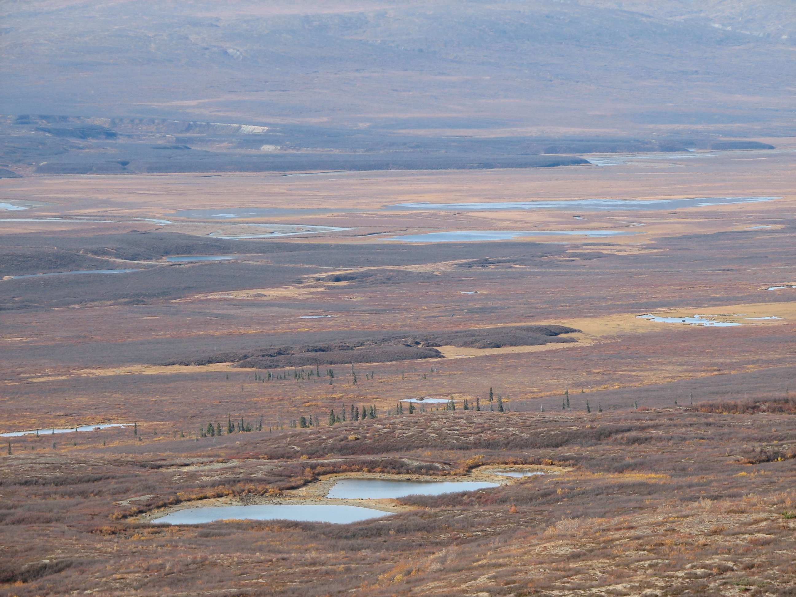 Luftbild Tundra